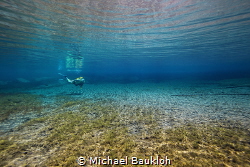 Diving in crystal clear water in a freshwater spring by Michael Baukloh 